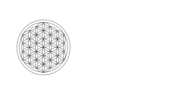 フラワー オブ ライフ Flower of life