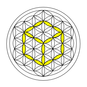 Flower of life Gallery1