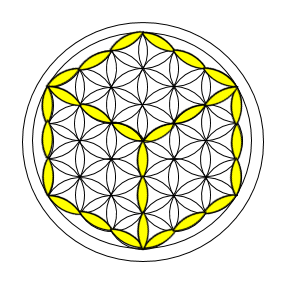 Flower of life Gallery2